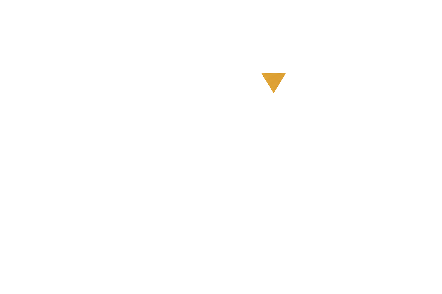 WELLSTY Logo